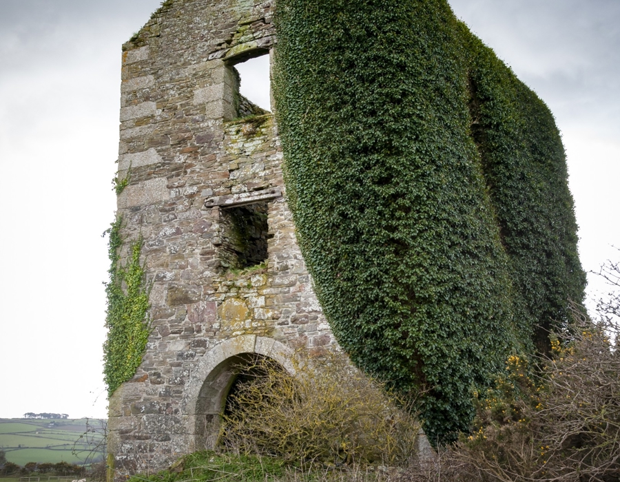 Austen's Engine House, Fowey Consols Mine